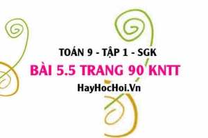 Bài 5.5 Toán 9 tập 1 SGK Kết nối tri thức